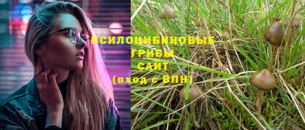 2c-b Балахна